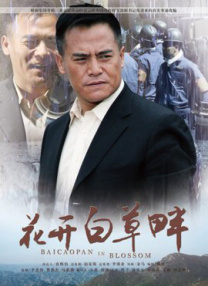 成人精品视频网站